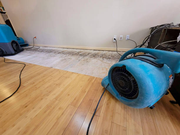 Professional Sewage Cleanup technician working in La Puente, CA